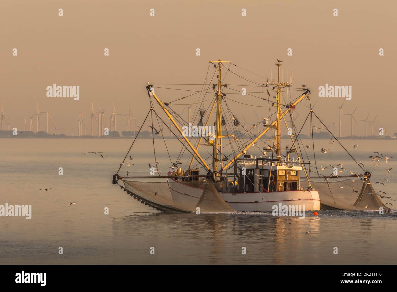 Dragnet fishing hi-res stock photography and images - Alamy