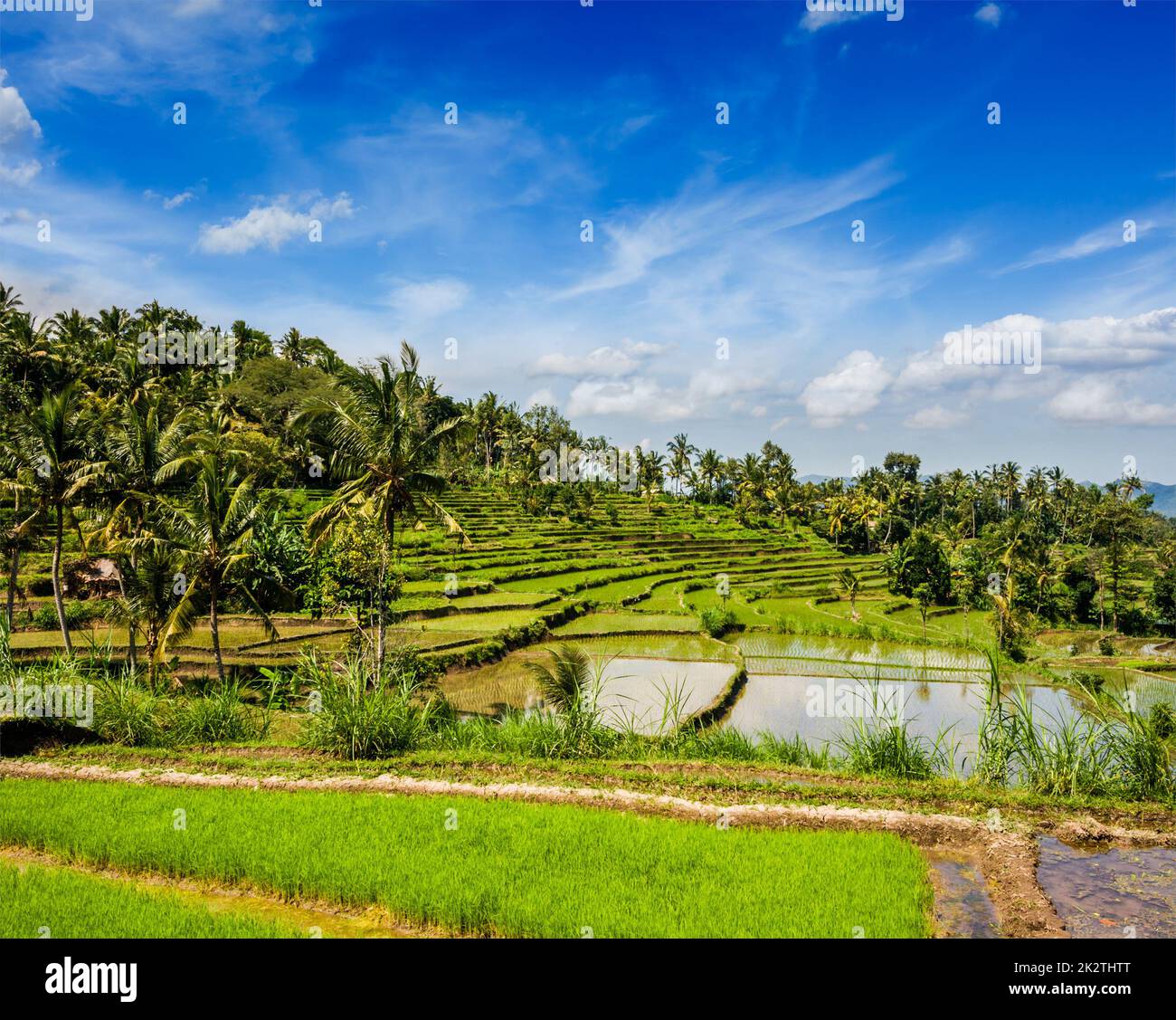 Green terraces hi-res stock photography and images - Alamy