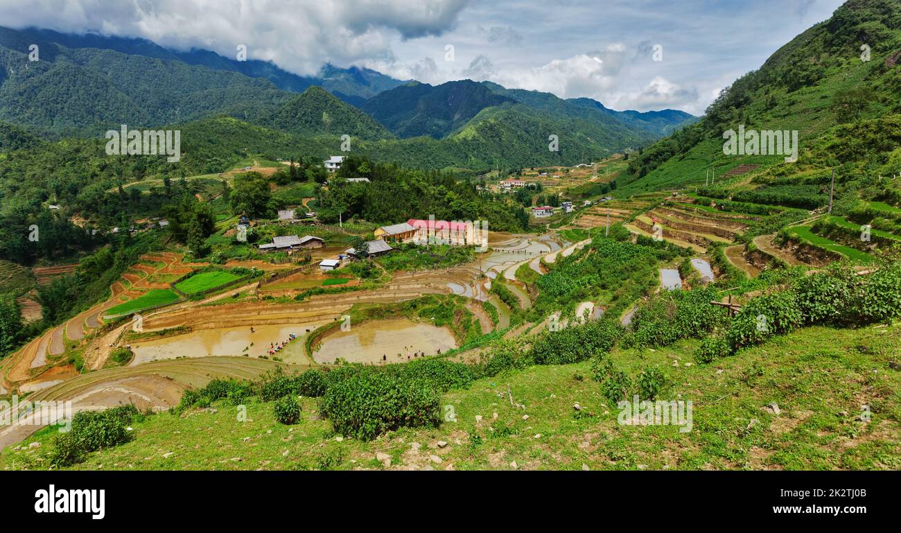 Rice field terraces. Near Sapa, Vietnam Stock Photo