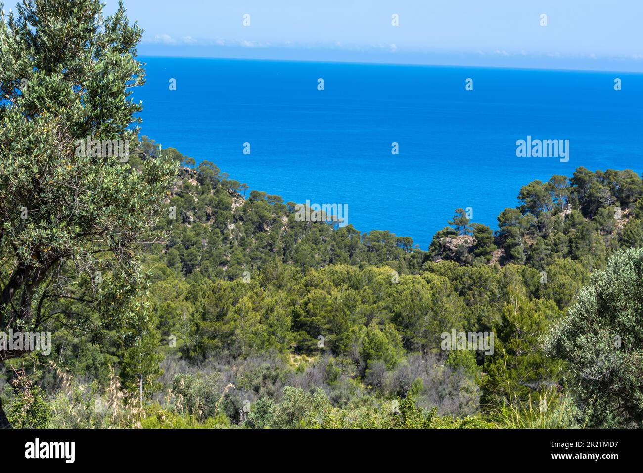 Wild West Coastline of Mallorca, Spain in the background the Mediterranean Sea. Stock Photo