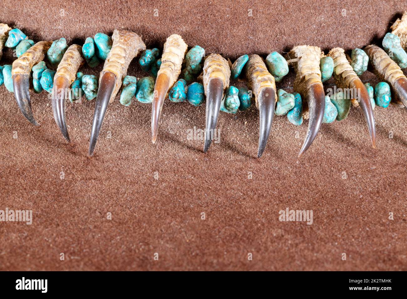 Old Native American Lakota necklace made of raptor claws and turquoise  stones on brown felt Stock Photo - Alamy