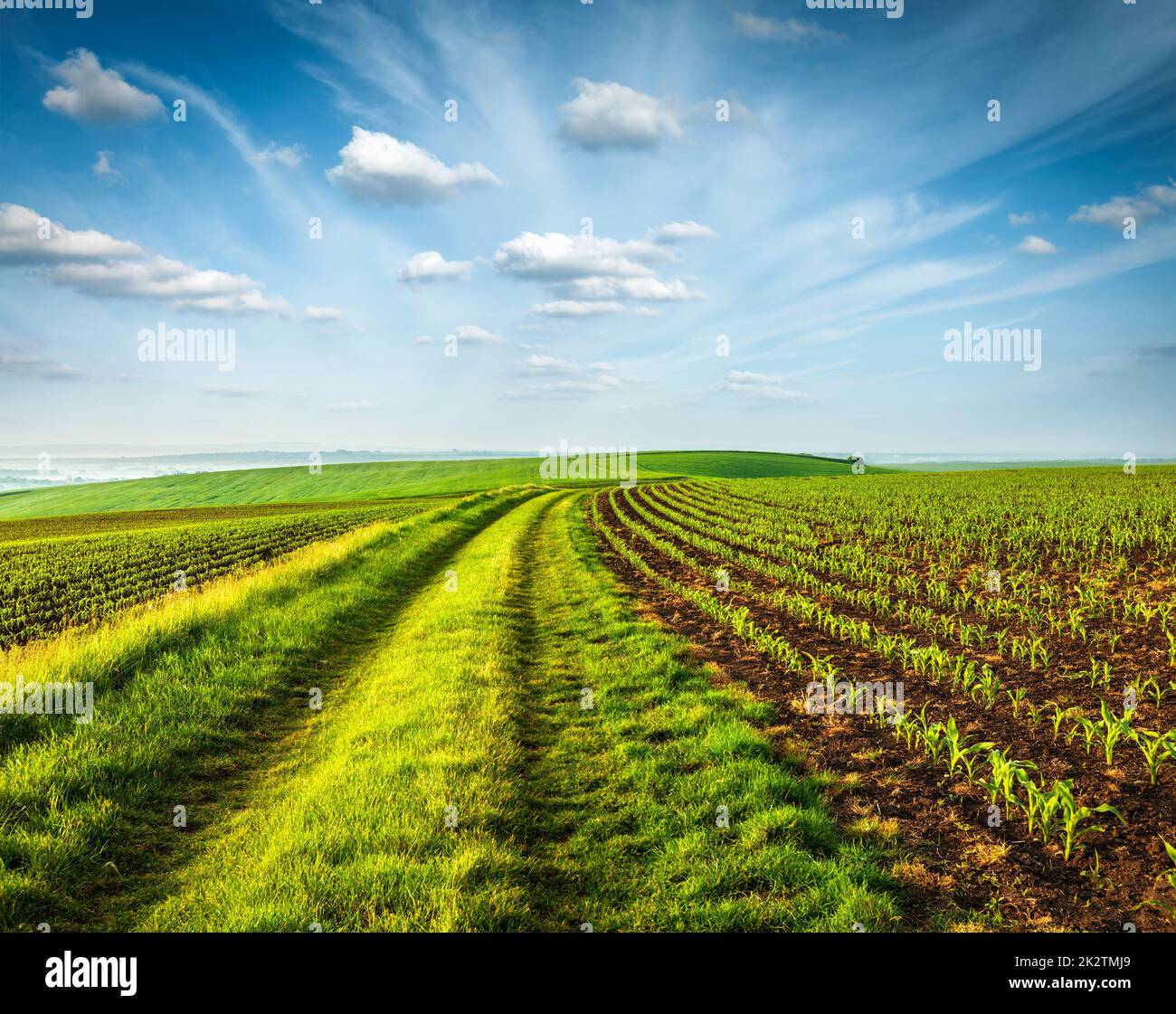 Rolling fields of Moravia Stock Photo Alamy