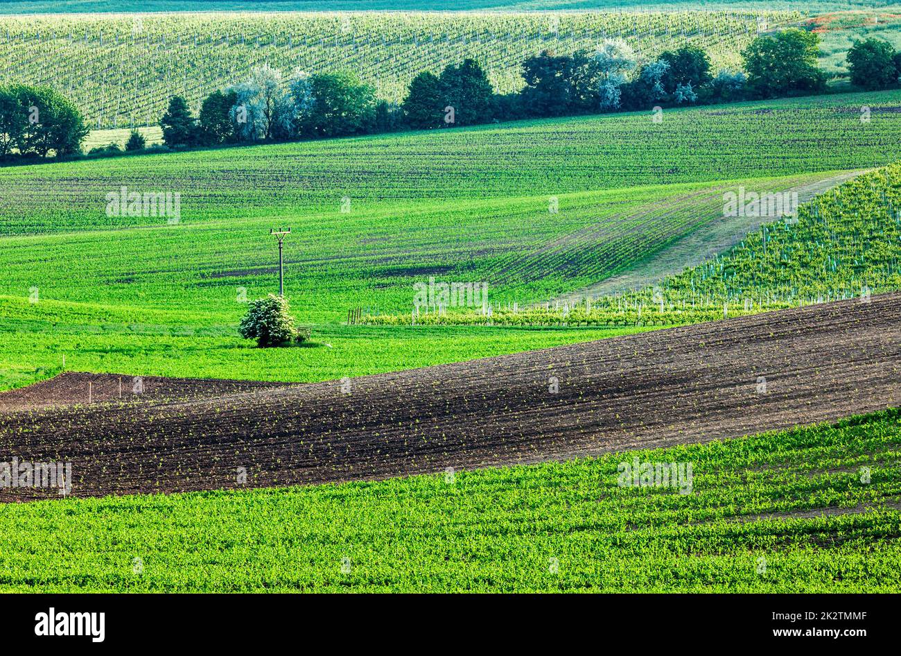Moravian rolling landscape Stock Photo