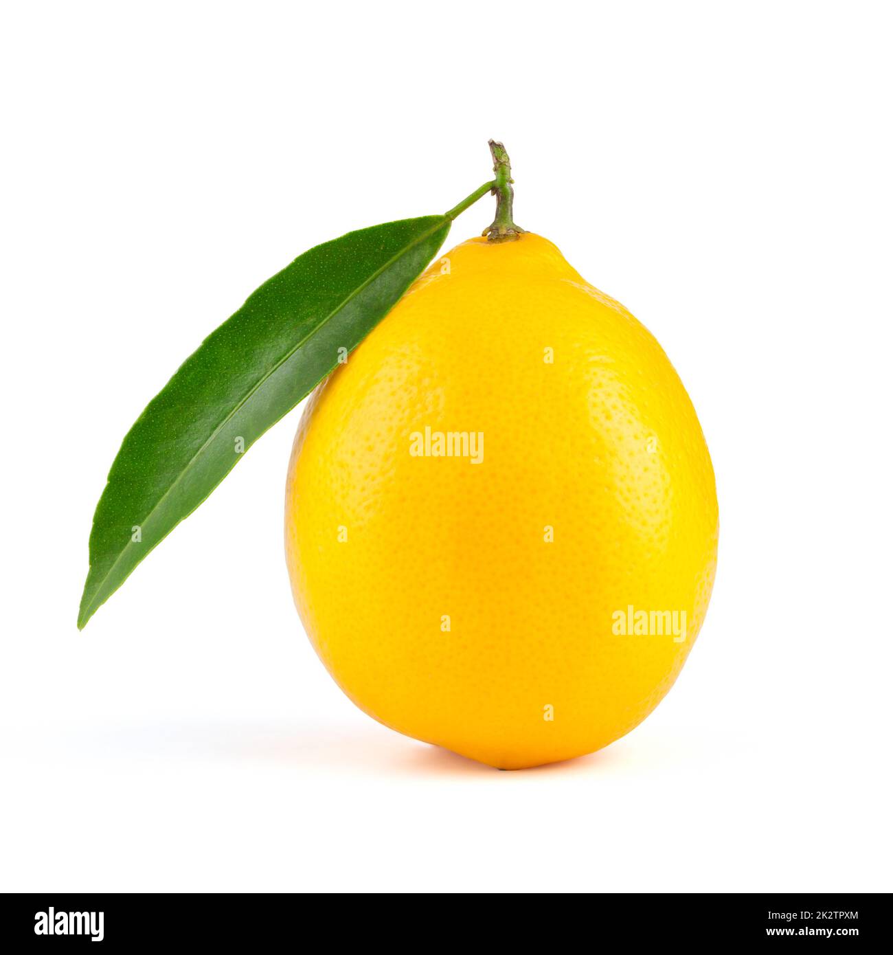 Yellow lemon with leaf isolated Stock Photo