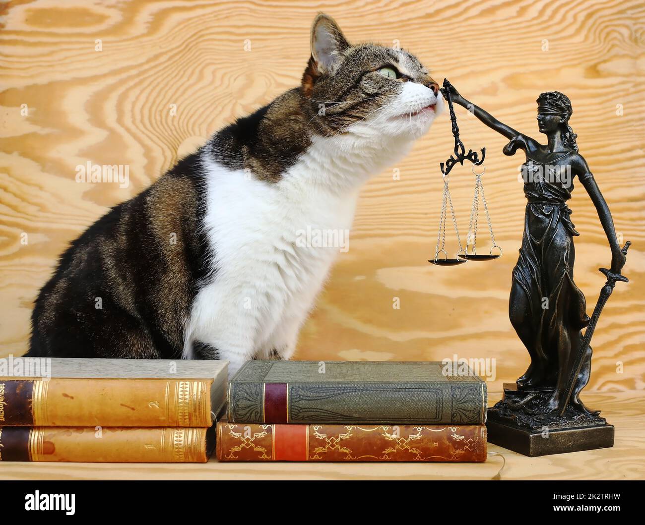 Rights Images Animal