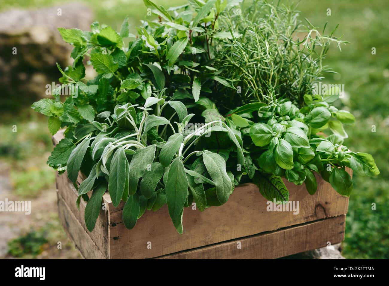 Wooden container hires stock photography and images Alamy
