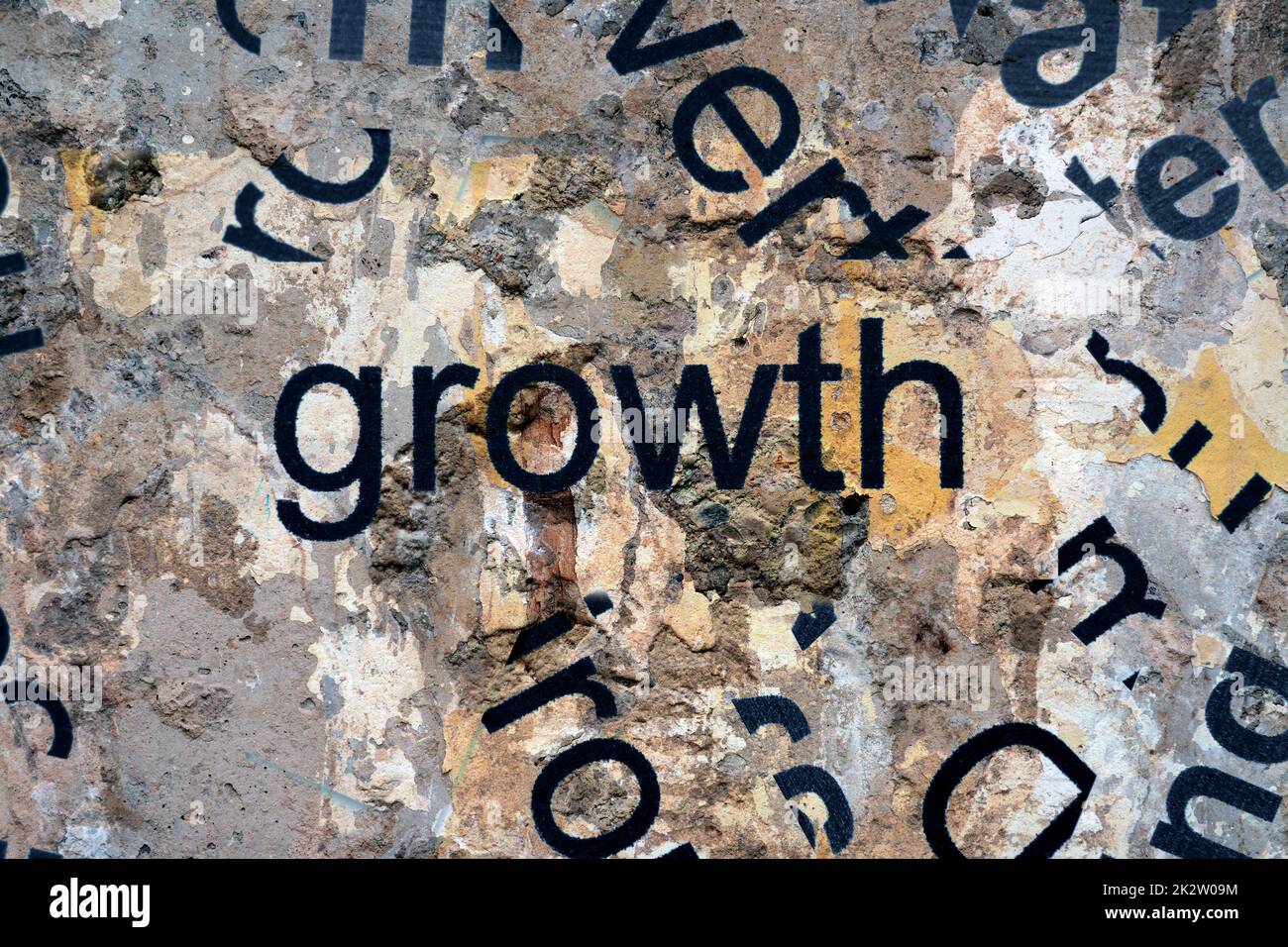 Growth concept Stock Photo