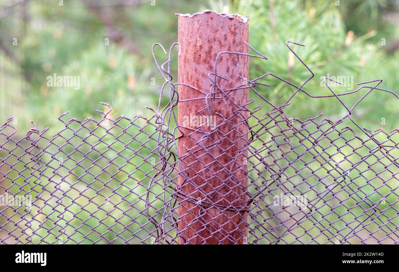 Mesh old ragged cage in the garden and a rusty pole with green grass as a background. Metal fence with wire mesh. Metal fence made of steel iron mesh. Abstract background. copy space. Stock Photo