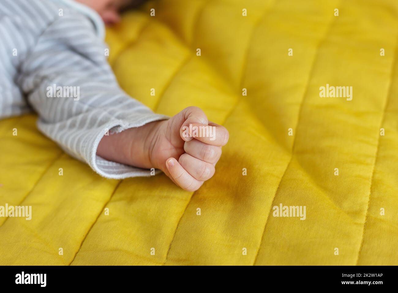 Little hands of a newborn baby, holding a fist, little fingers. The first month of a baby's life