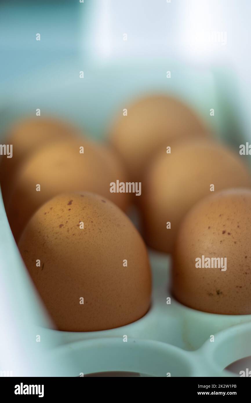 Raw chicken eggs in the refrigerator, close-up. Brown eggs in an egg rag on a shelf on the refrigerator door. selected focus. Stock Photo