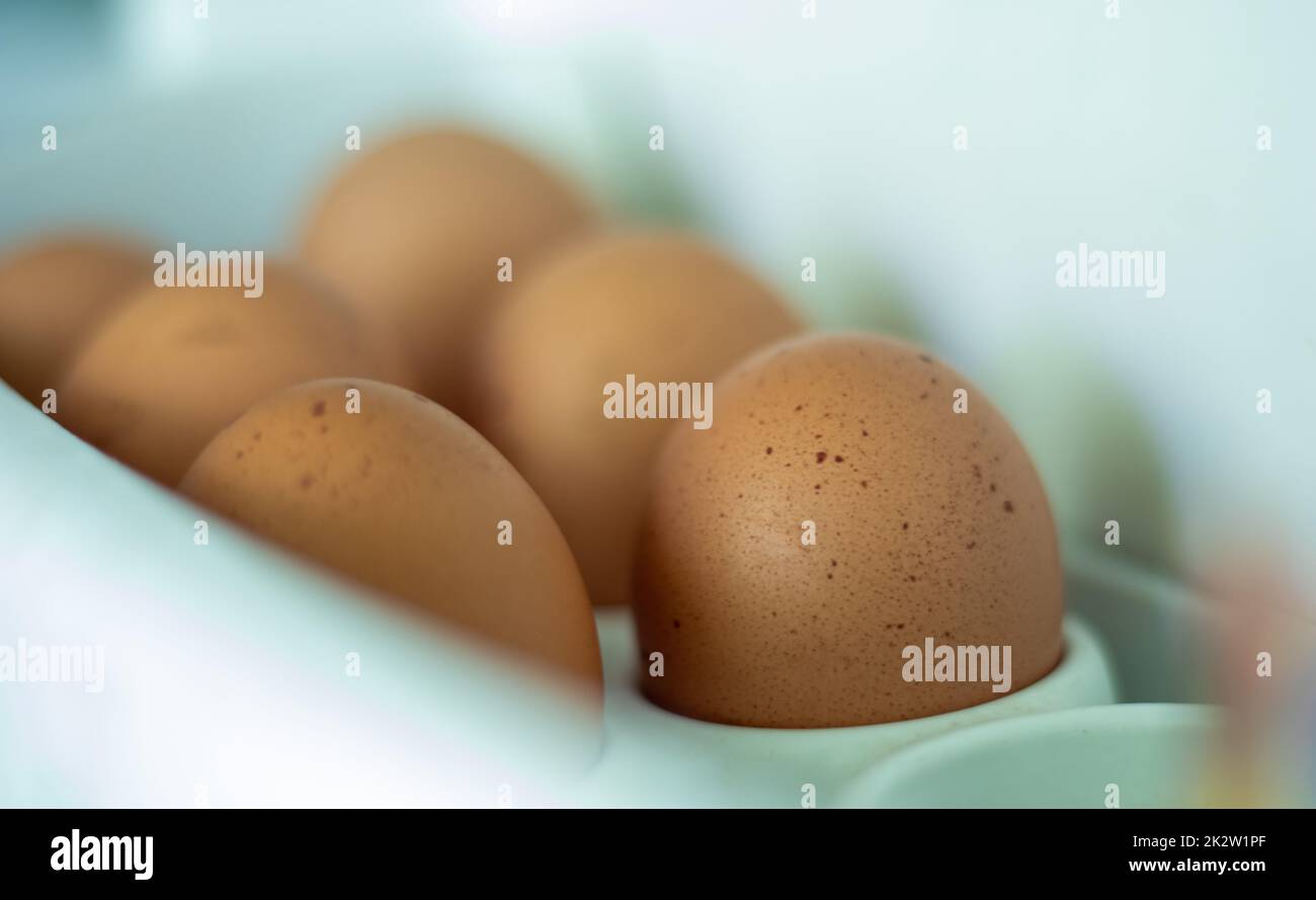 Raw chicken eggs in the refrigerator, close-up. Brown eggs in an egg rag on a shelf on the refrigerator door. selected focus. Stock Photo