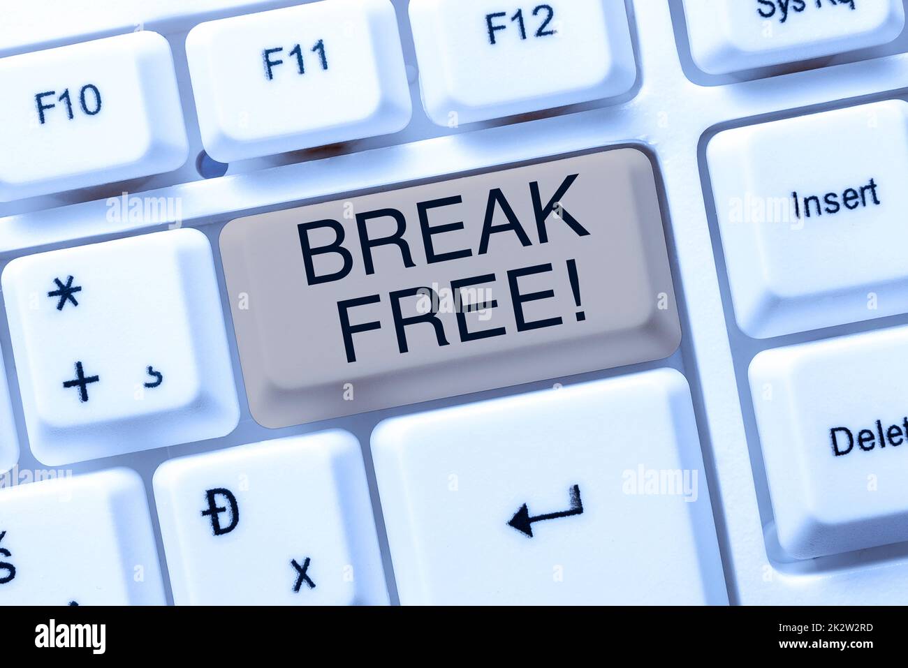 Sign displaying Break Free. Word for another way of saying salvation out of chains freedom prison -48538 Stock Photo