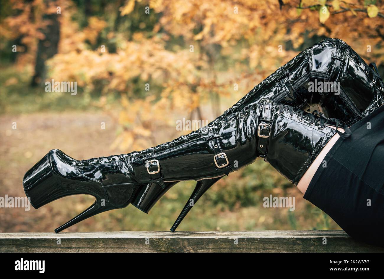 Artistic view of black high heels latex boots, pole dancer shoes. Selective focus on boots, blurred autumn leaves on background. Stock Photo
