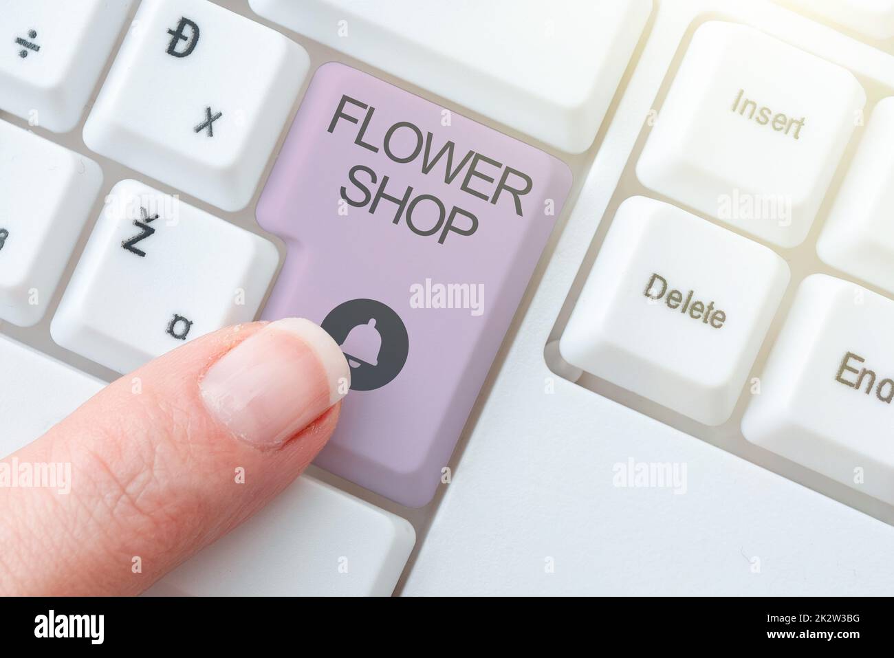 Conceptual display Flower Shop. Internet Concept where cut flowers are sold with decorations for gifts -49004 Stock Photo