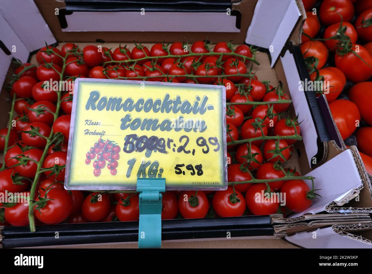 Tomaten (Solanum lycopersicum) im GemÃ¼segeschÃ¤ft Stock Photo