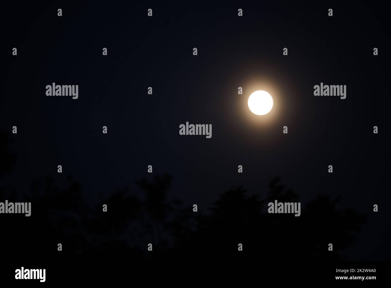 Full moon night - eerie and atmospheric witching hour in moonlight Stock Photo