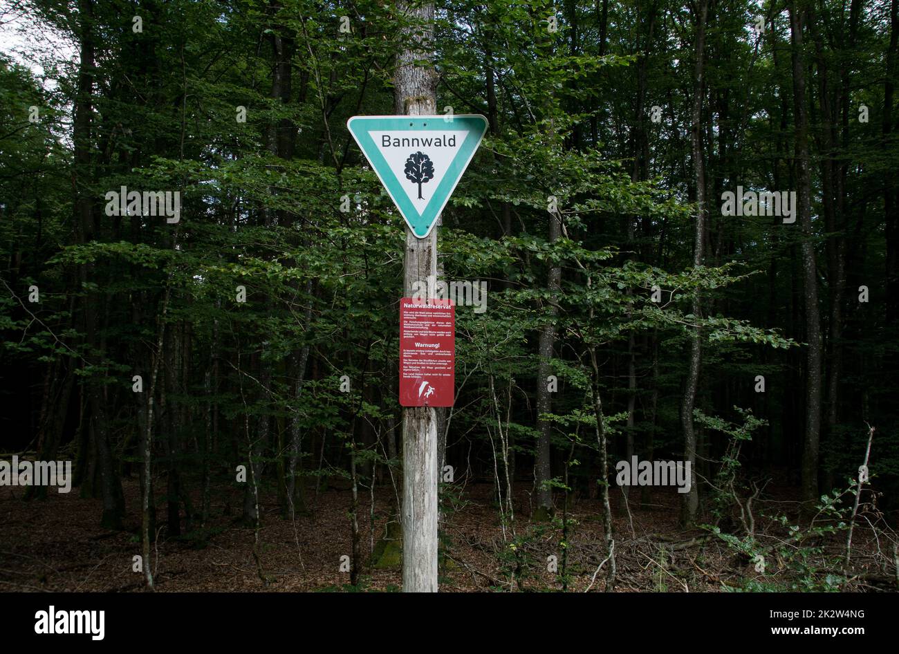 German nature reserve sign called Bannwald Stock Photo - Alamy