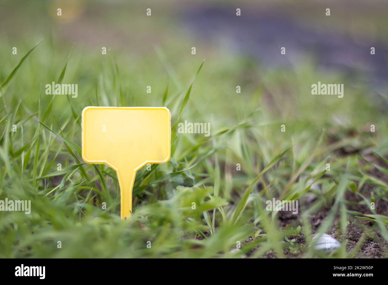 A yellow plastic garden marker indicating a plant in the garden. Label garden for marking. A reusable plate is designed to display information about planted crops. Stock Photo