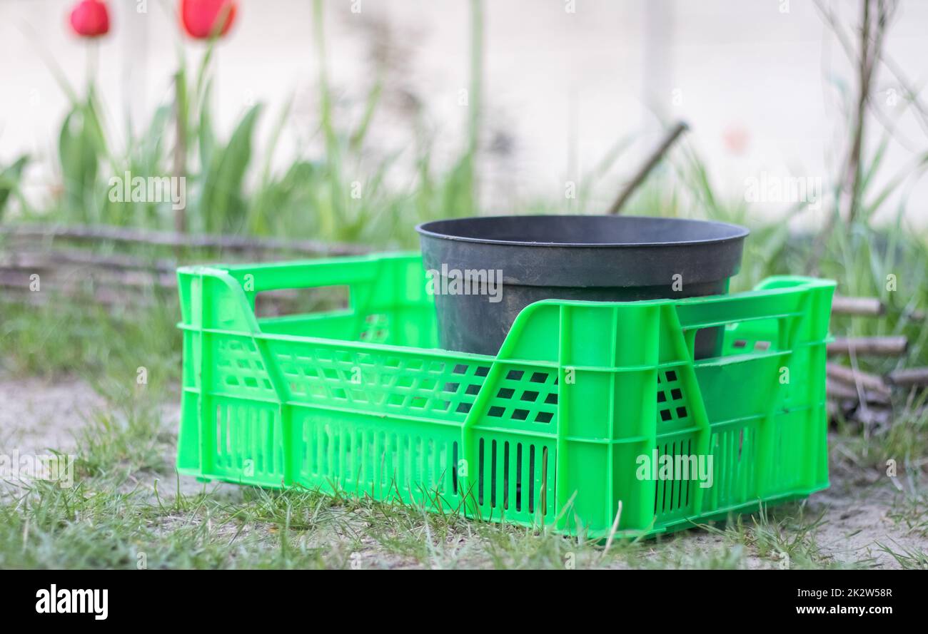 Plastic empty green box in the garden for plants or harvesting. On a sunny day in early spring. Gardening concept. Household crop collection and storage box standing in the backyard. Stock Photo