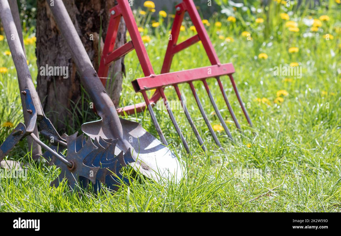 Gardening tools. Garden tools on the background of a garden in green grass. Summer work tool. Shovel, fork and baking powder stacked in the garden outside. The concept of gardening tools. Stock Photo