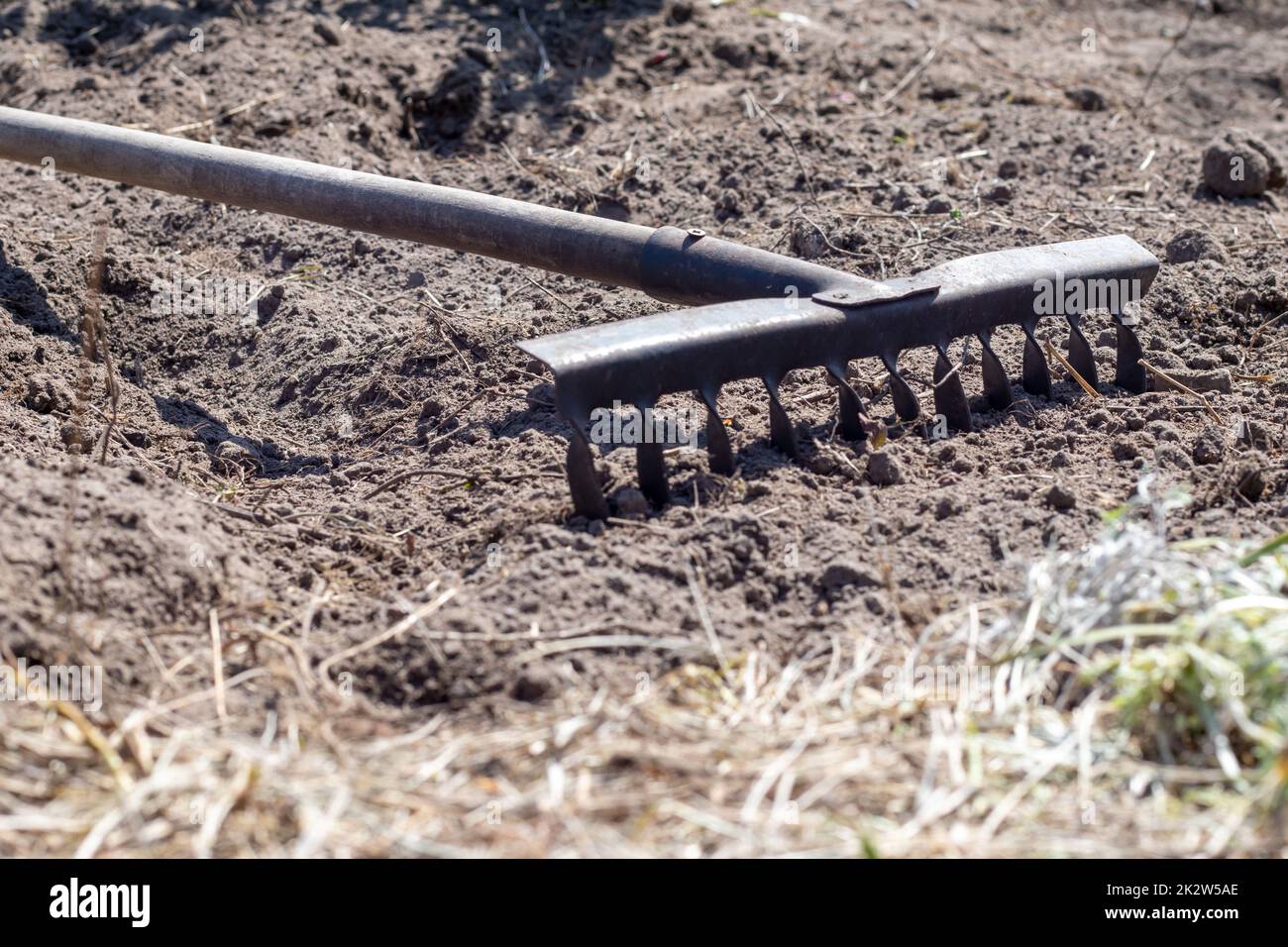 Raking vegetable bed hi res stock photography and images Alamy
