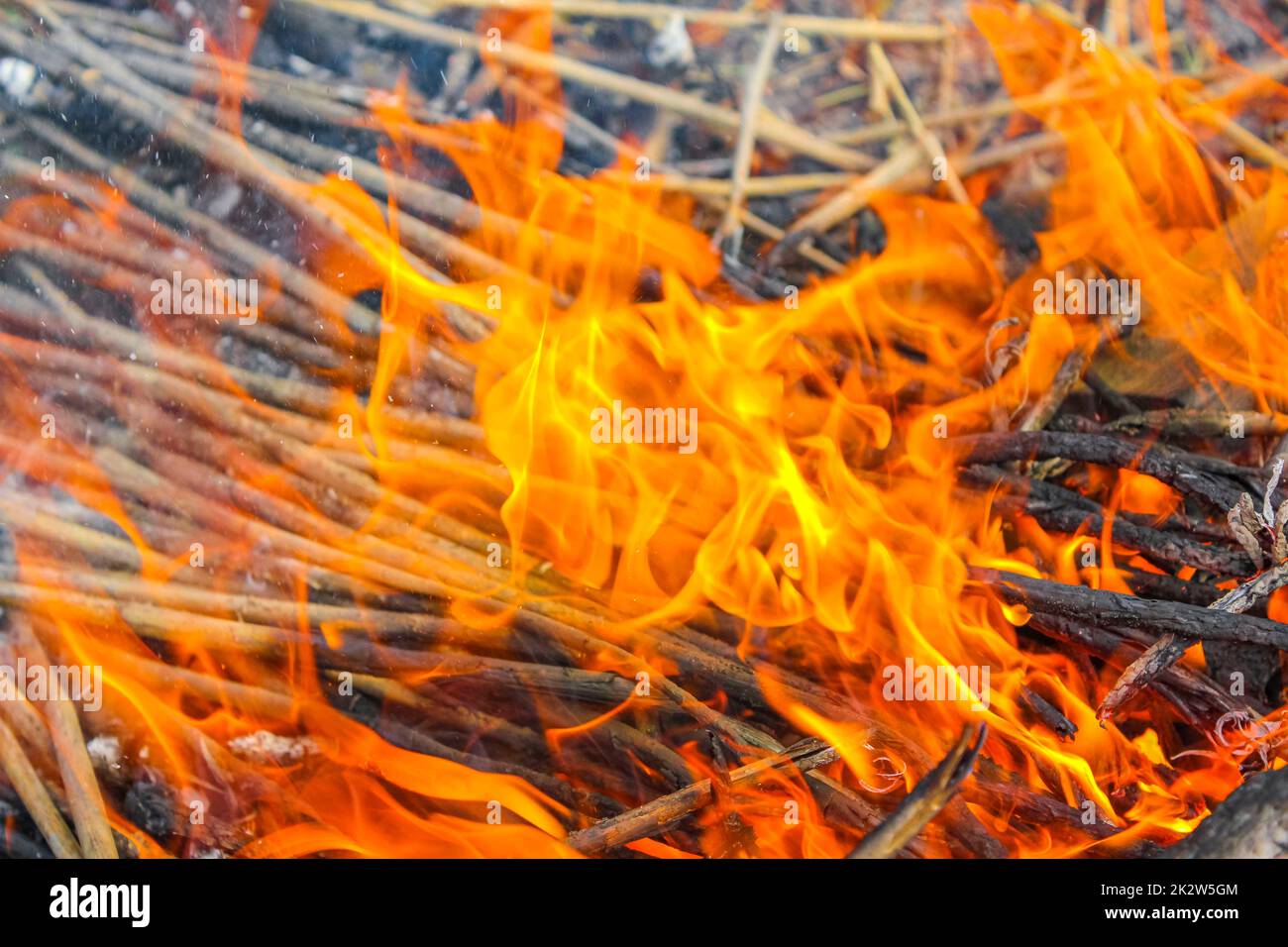 Campfire and burning wood with orange flames Germany Stock Photo - Alamy