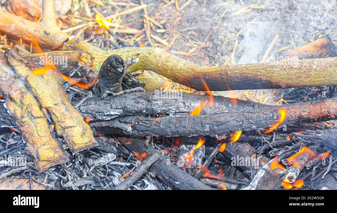 Campfire and burning wood with orange flames Germany Stock Photo - Alamy