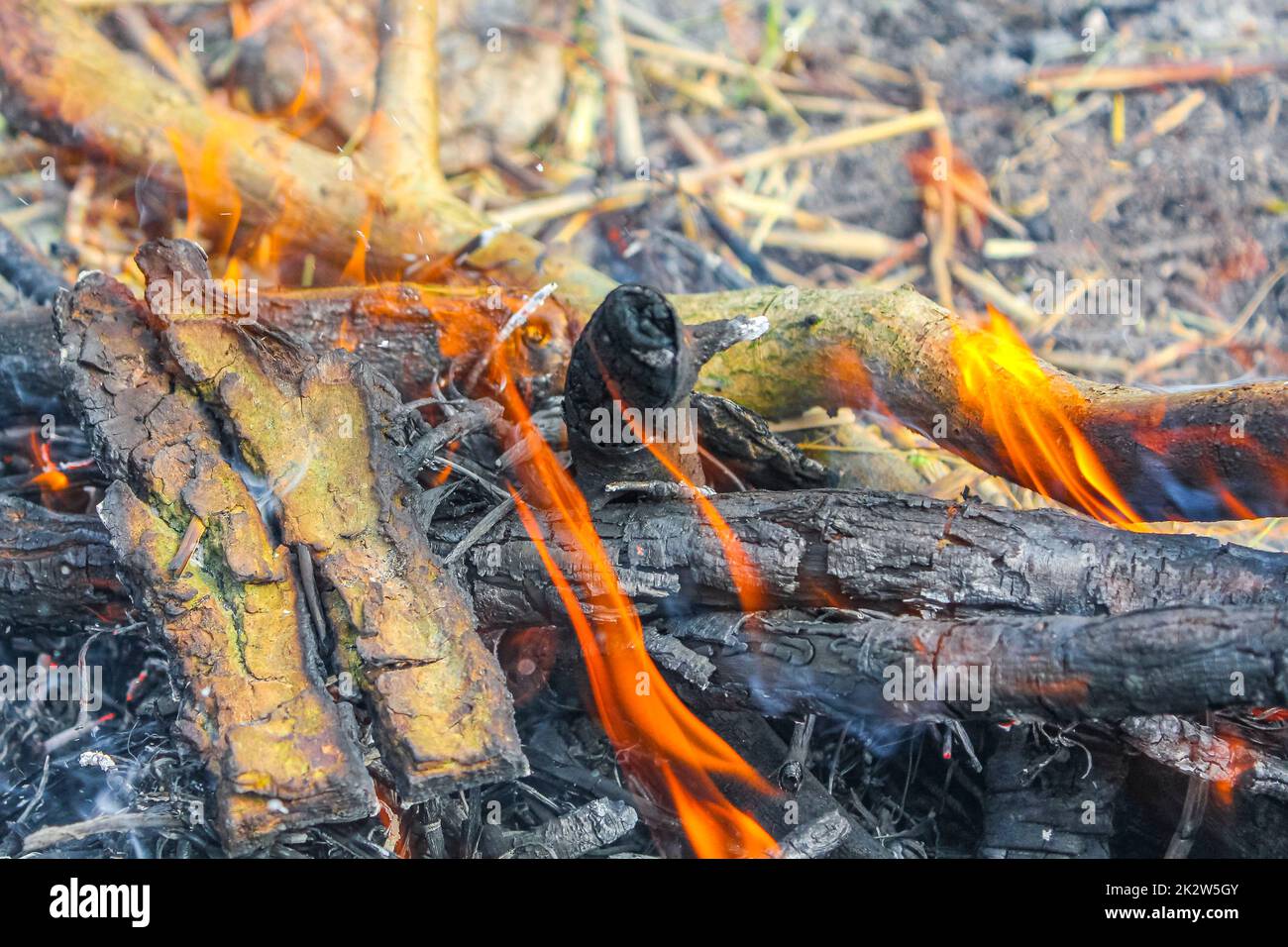 Campfire and burning wood with orange flames Germany. Stock Photo