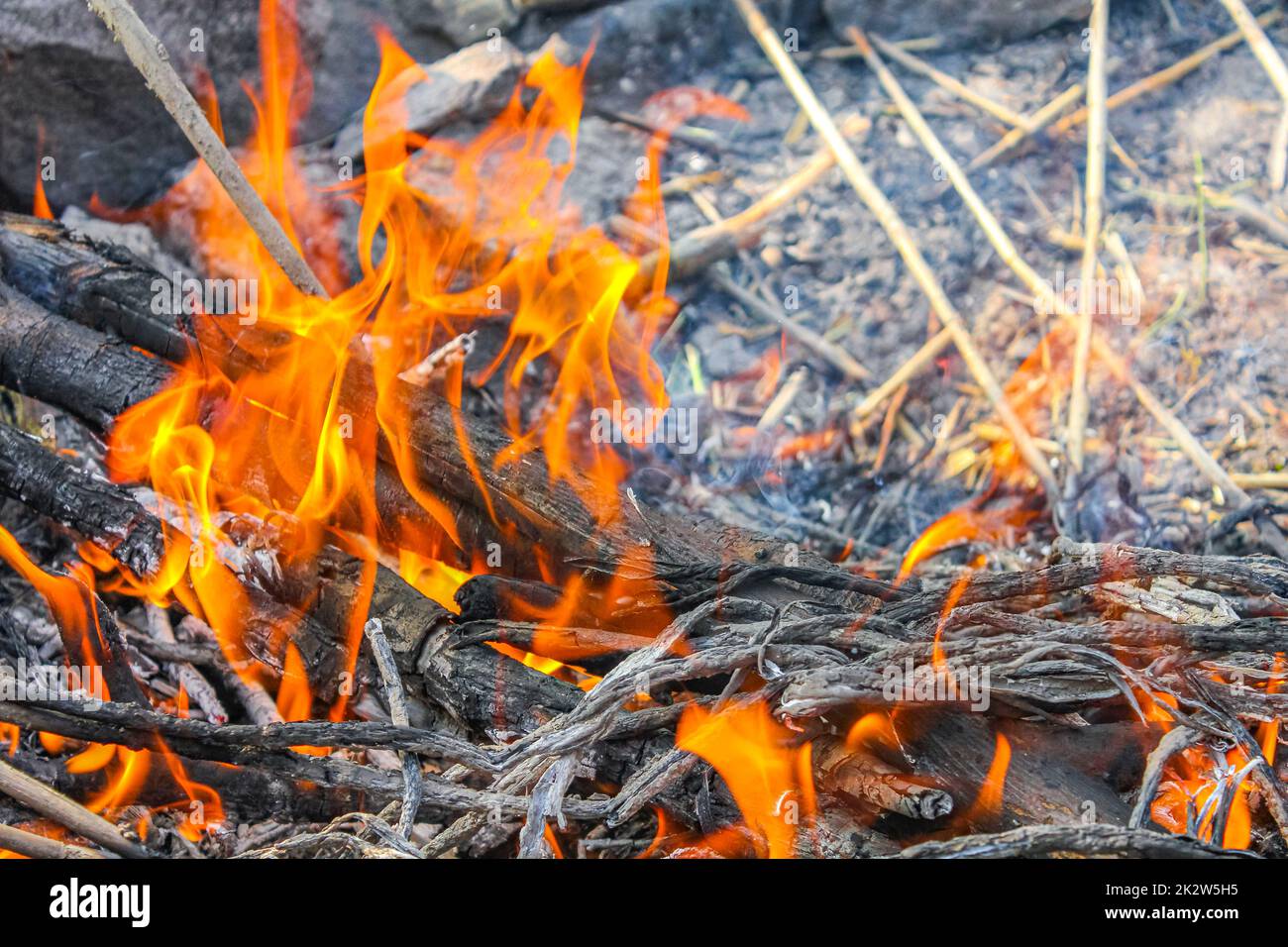 Campfire and burning wood with orange flames Germany Stock Photo - Alamy