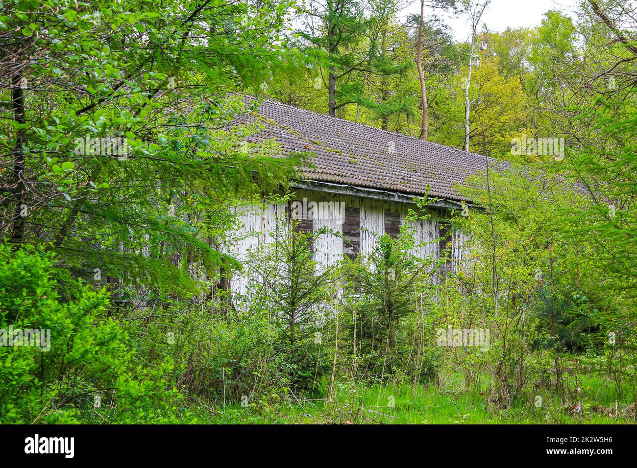 Broken destroyed old house in forest Germany Stock Photo Alamy