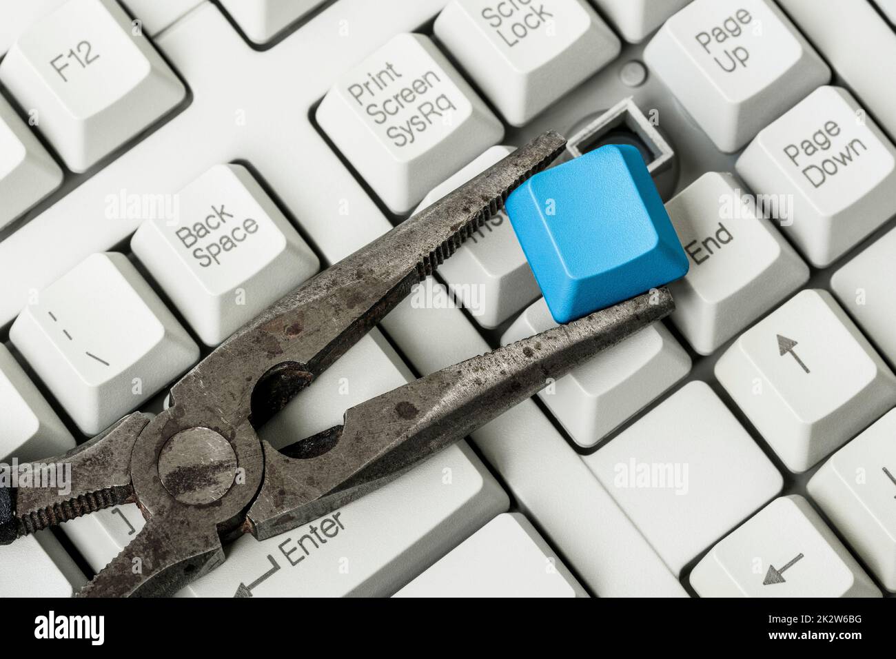 Pliers with removed blue key from a computer keyboard Stock Photo