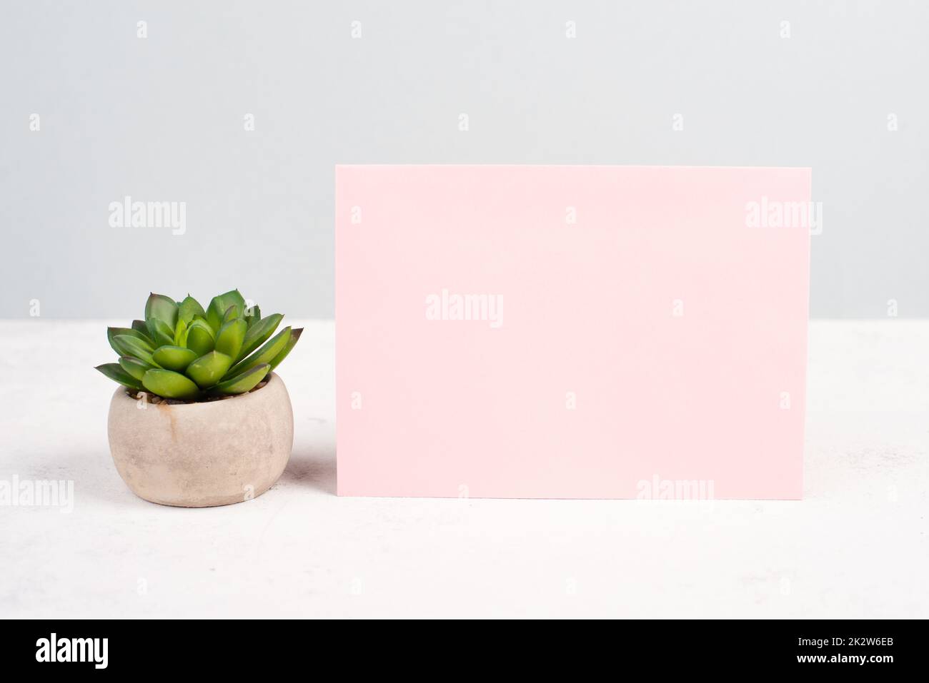 Empty paper with a cactus textured background, brainstorming for new ideas, writing a message, home office desk Stock Photo