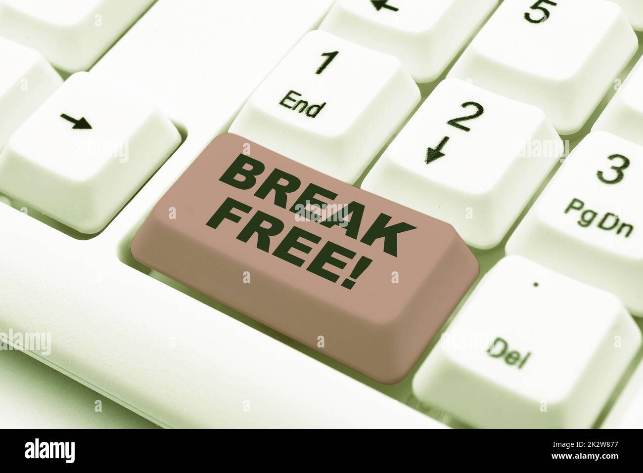 Conceptual caption break free business concept another way of saying