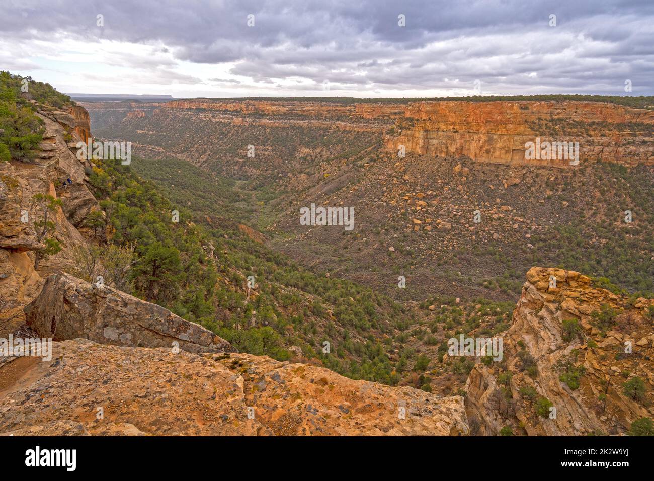 Cliffs and Canyons in Scrublands of the West Stock Photo