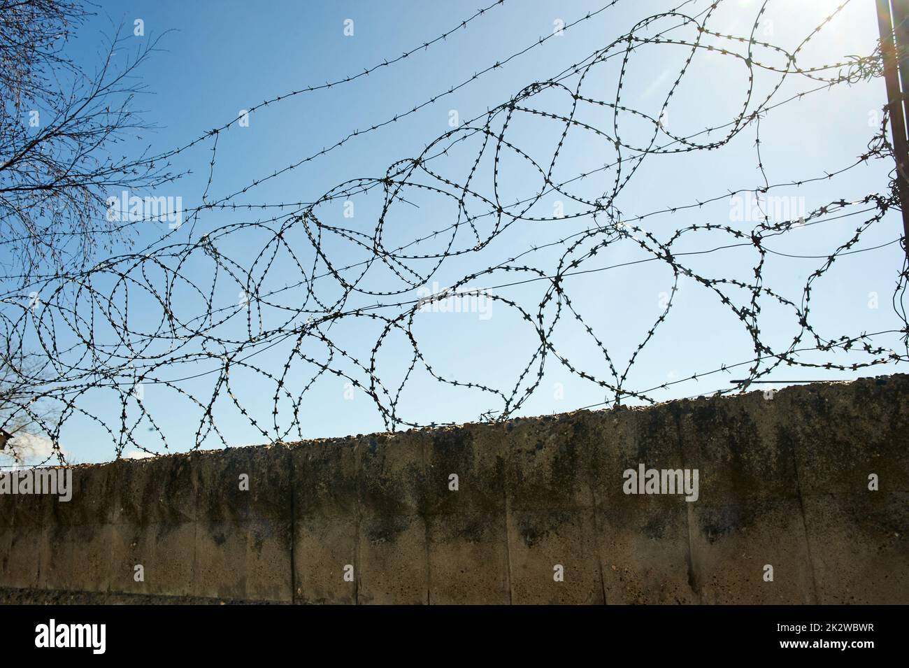 Barbed wire on a blue sky background. Stock Photo