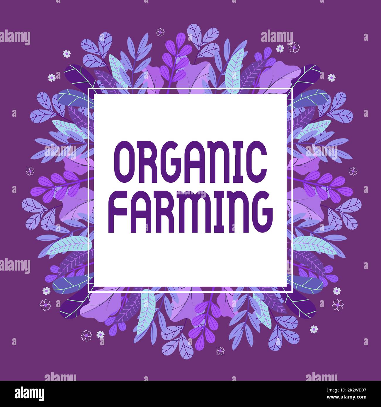 Sign displaying Organic Farming. Word Written on an integrated farming system that strives for sustainability Frame Decorated With Colorful Flowers And Foliage Arranged Harmoniously. Stock Photo