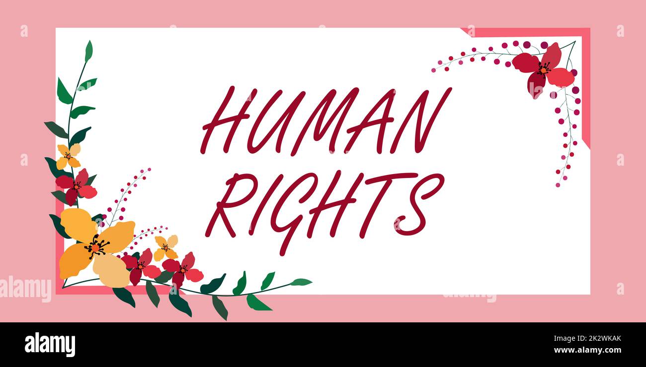 Handwriting text Human Rights. Conceptual photo Moral Principles Standards Norms of a showing protected by Law Frame Decorated With Colorful Flowers And Foliage Arranged Harmoniously. Stock Photo