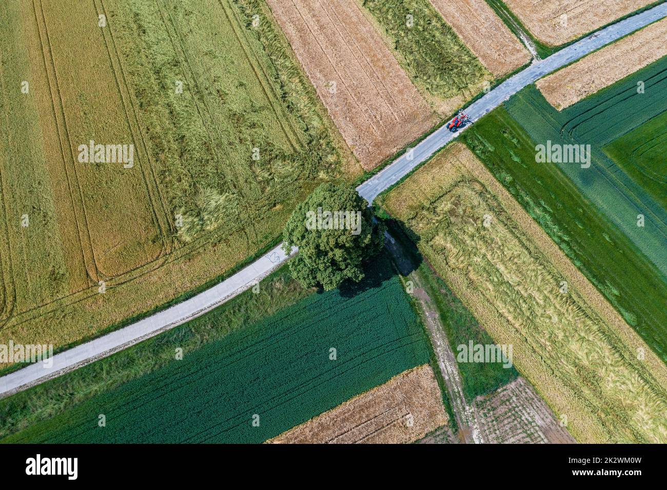 Single grain hi-res stock photography and images - Alamy