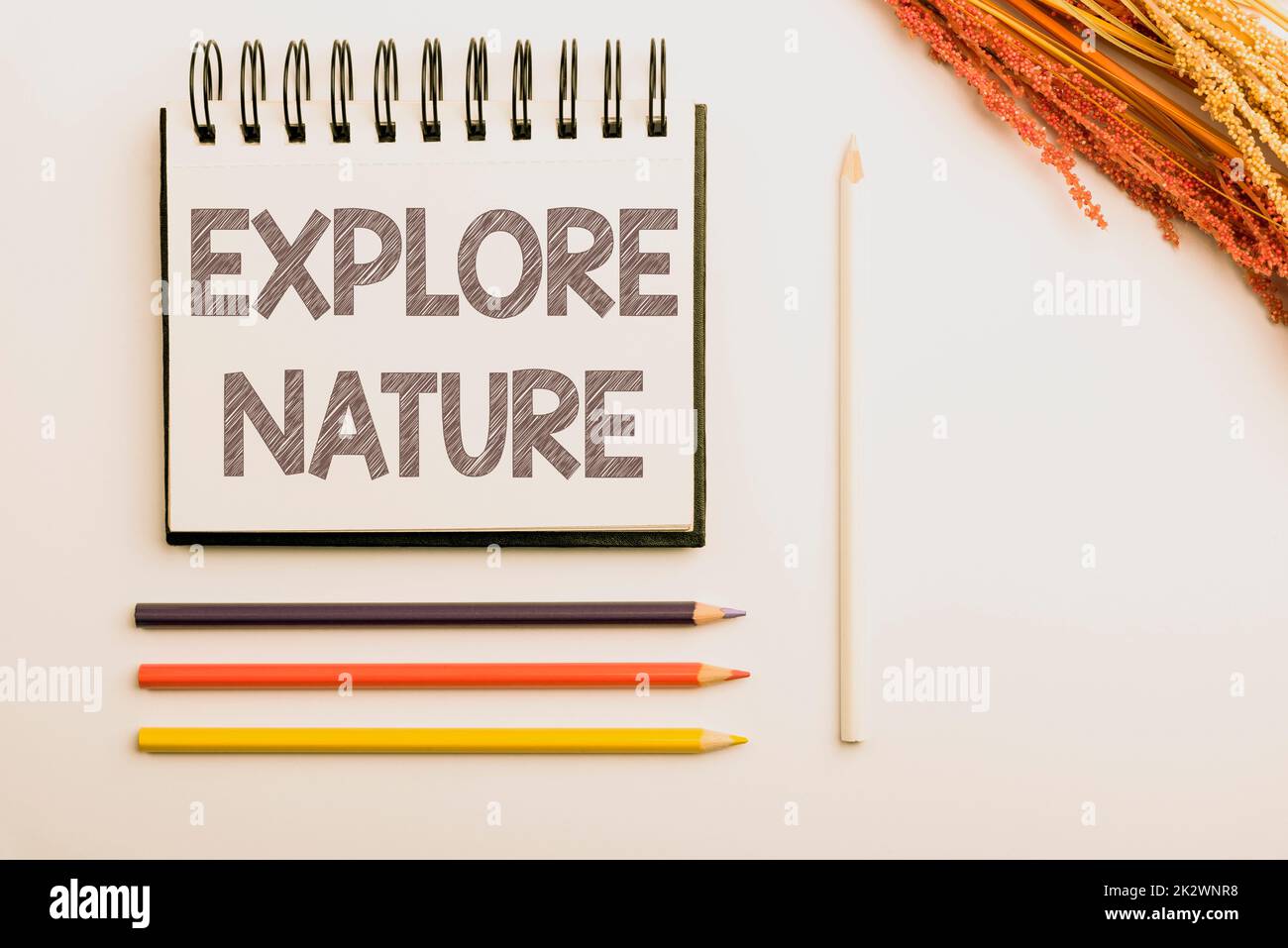Writing displaying text Explore Nature. Business approach Reserve Campsite Conservation Expedition Safari park Flashy School Office Supplies, Teaching Learning Collections, Writing Tools Stock Photo