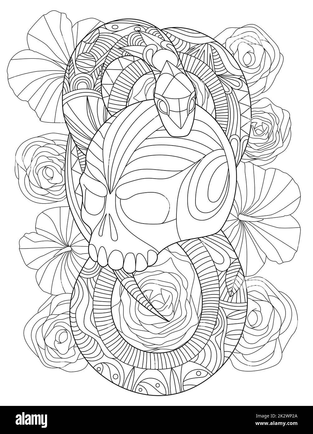 Vector line drawing tattoo snake wrapping skull decorated flower pattern background. Digital lineart image serpent twisting around bones floral decoration. Stock Photo