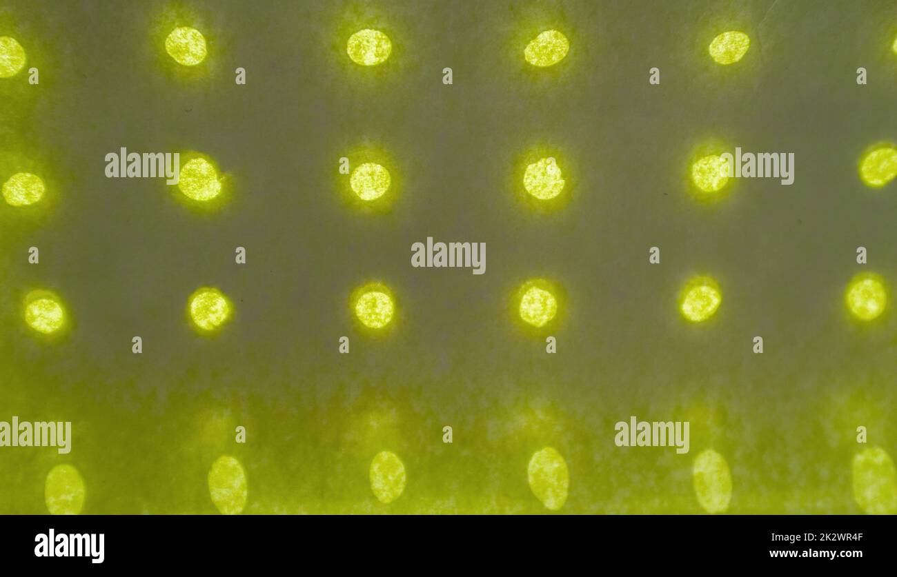Abstract background made of olive-colored paper with holes arranged in a row and glowing against a background of light Stock Photo