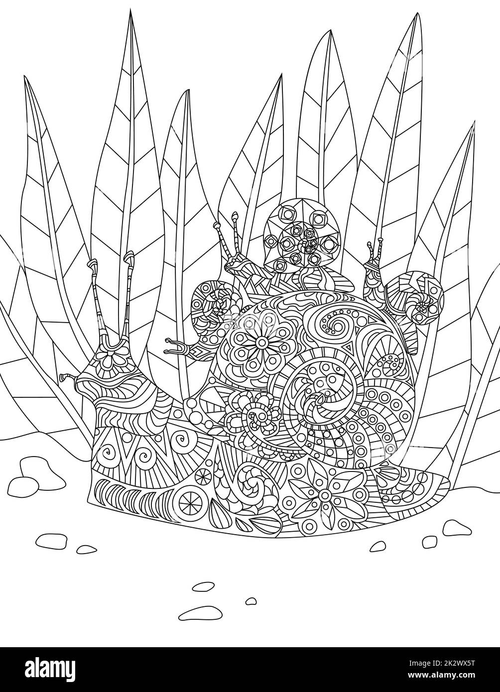 Illustration Of Dedicated Mother Snail Carrying Her Little Babies On