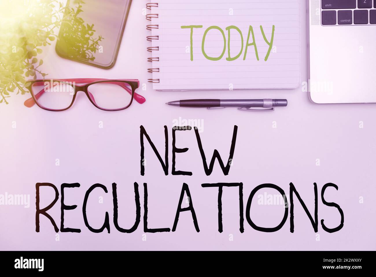 Text showing inspiration New Regulations. Business overview Regulation