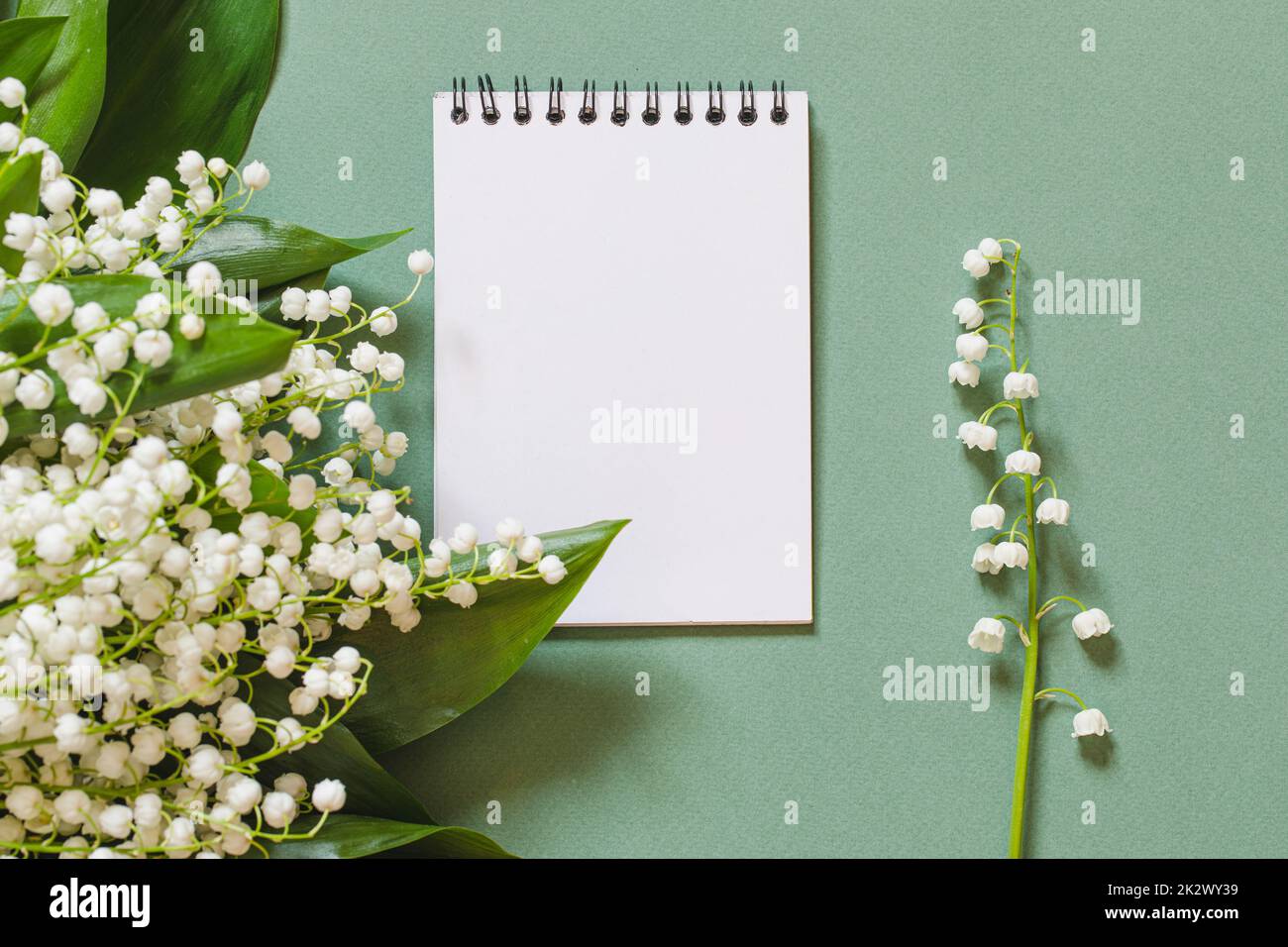 flowers and a blank sheet for writing what to do list or thanks. gratitude or planning concept Stock Photo