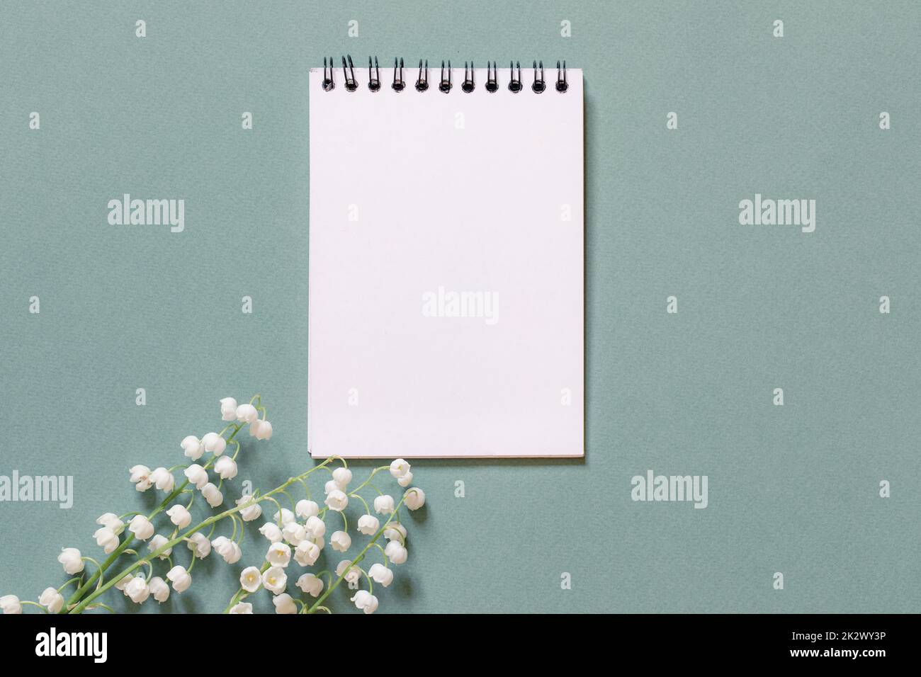 flowers and a blank sheet for writing what to do list or thanks. gratitude or planning concept Stock Photo