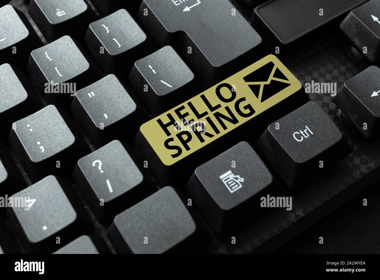 Text showing inspiration Hello Spring. Word for greeting for the fresh plants and blooming flowers season Abstract Deleting Browser History, Editing And Organizing Online Files Stock Photo