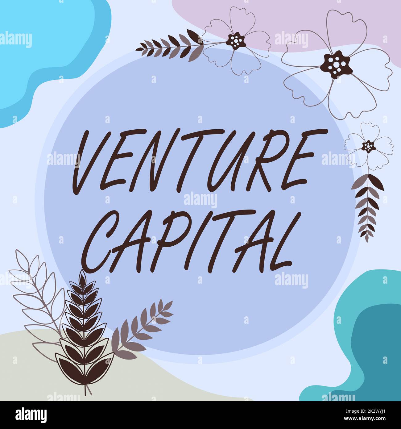 Handwriting text Venture Capital. Business idea financing provided by ...