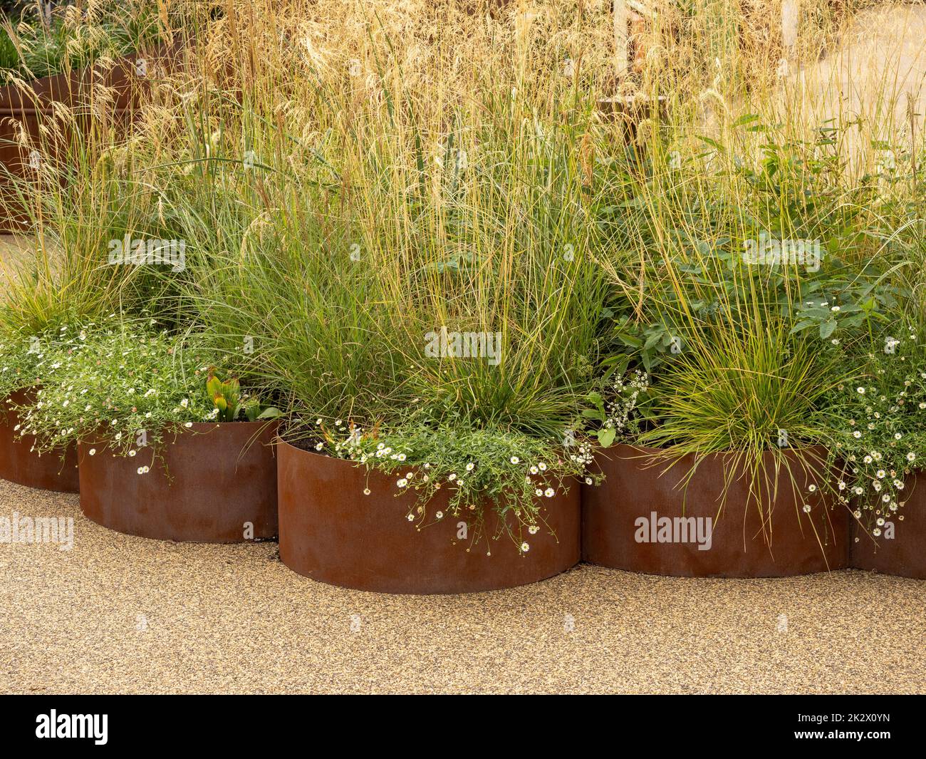 Contemporary corten garden containers planted up with grasses and Stock Photo