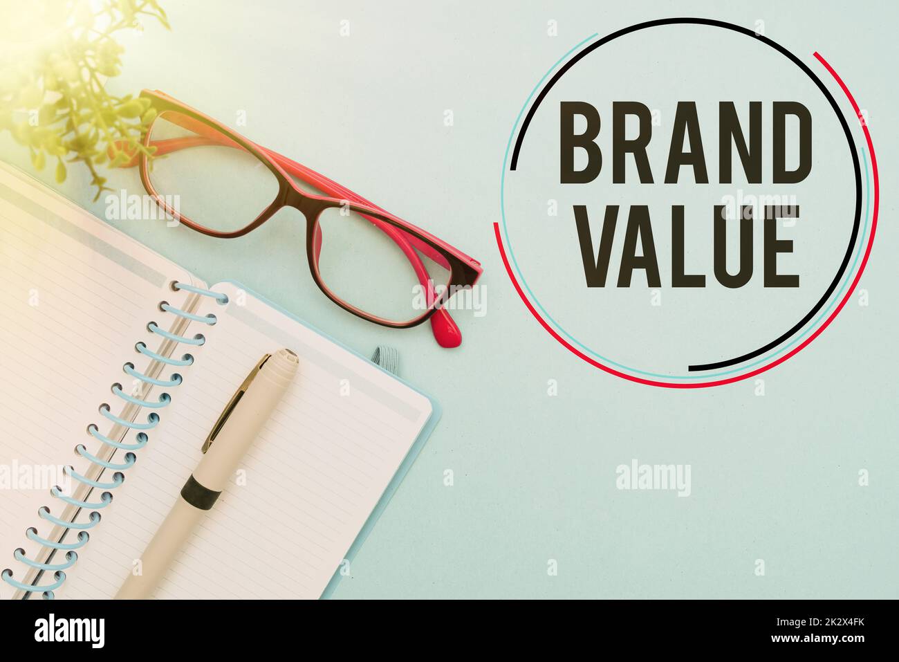 Text sign showing Brand Value. Business showcase company generates from