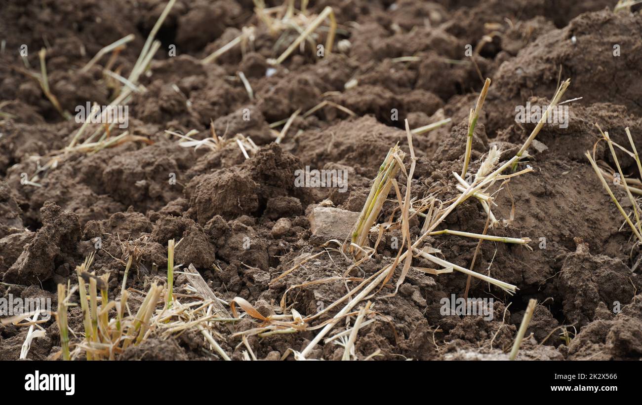 Agricultural Land Recently Plowed and Prepared for the Crop Stock Photo